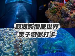 -厦门明发国际大酒店(会展中心环岛路店)