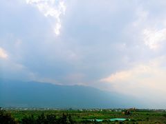 -才村湿地公园