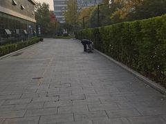 -首都医科大学附属北京潞河医院