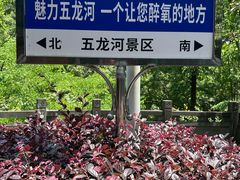 -郧西五龙河风景区