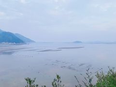 -北岐滩涂