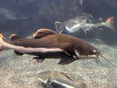 -太平洋海底世界