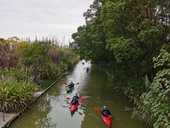 -上海长兴岛郊野公园