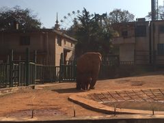 -昆明动物园
