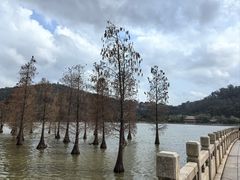 -顺峰山公园