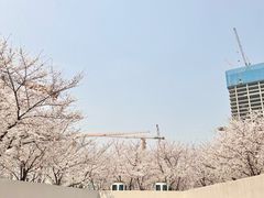 -龙美术馆西岸馆-停车场