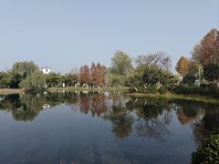-金银湖国家城市湿地公园