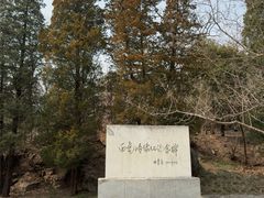 -白水寺森林公园