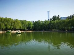 -团结湖公园