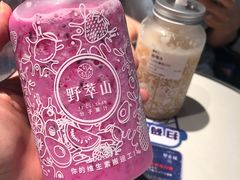 -野萃山·潮汕厚果汁(十亩地店)