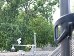 -Sirena海妖日咖夜酒