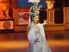 -金东尼人妖秀