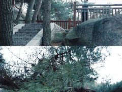 -崂山仰口游览区