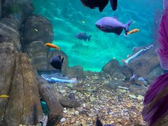 -常州海昌海洋探索馆