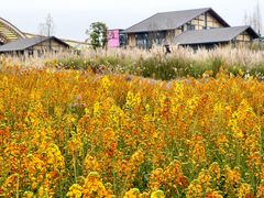 -中国天府农业博览园