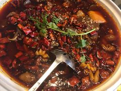 精品毛血旺-朝郡酒家·粤菜(燕大星苑店)
