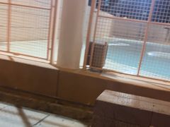 -九龙公园