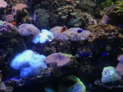 -左海海底世界