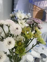 -靓芙泉专研痘痘肌