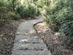 -林丰温泉度假山庄
