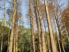 -广州市白云山风景名胜区