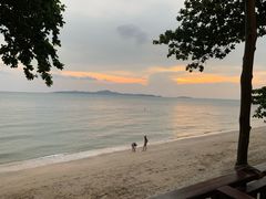 -卷心菜和避孕套餐厅(Pattaya)