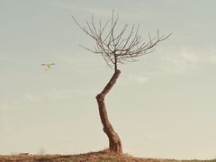 -钟山体育运动公园