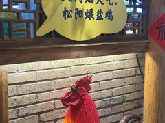 -头上红煨盐鸡乡村食府