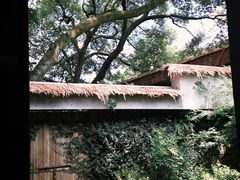 -中国茶叶博物馆(双峰馆区)