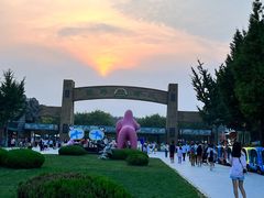 -北京野生动物园