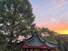 -九科绿洲