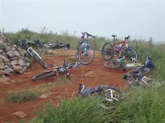 -长虫山生态公园风景林