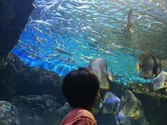 -华夏文旅海洋公园