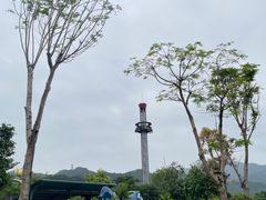 -森波拉奇妙世界