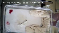 点击看大图 -敦南真爱月子会所(黄埔店)