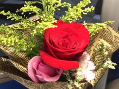 -武汉华夏国际影城(鲁广店)