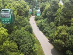 -华西村