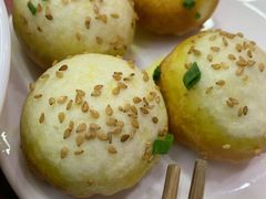 生煎-朱新年·苏式汤团·面点(北寺塔店)