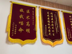 -宠福鑫动物医院(城北分院)