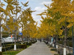 -小小花园 Le.Petit.Jardin(西岸滨江店)