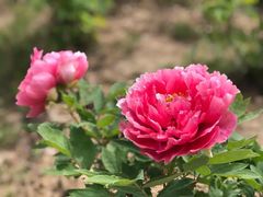 -合肥三国新城遗址公园