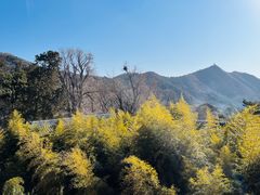 -潭柘寺景区