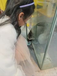 -神奇动物撸宠馆·羊驼·小浣熊·异宠(豫园店)