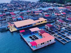 -云晓光头烧烤吧(川沙绿地店)