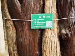 -北京国子监胡同