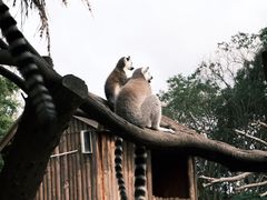 -宁波野生动物园