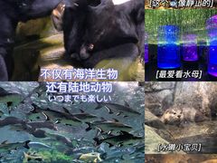 -哈尔滨波塞冬海底世界