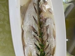 -大鸿运酒店·苏州菜·松鼠桂鱼(观前街店)