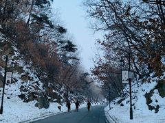 -北山公园