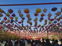 -祥源·阜阳生态乐园